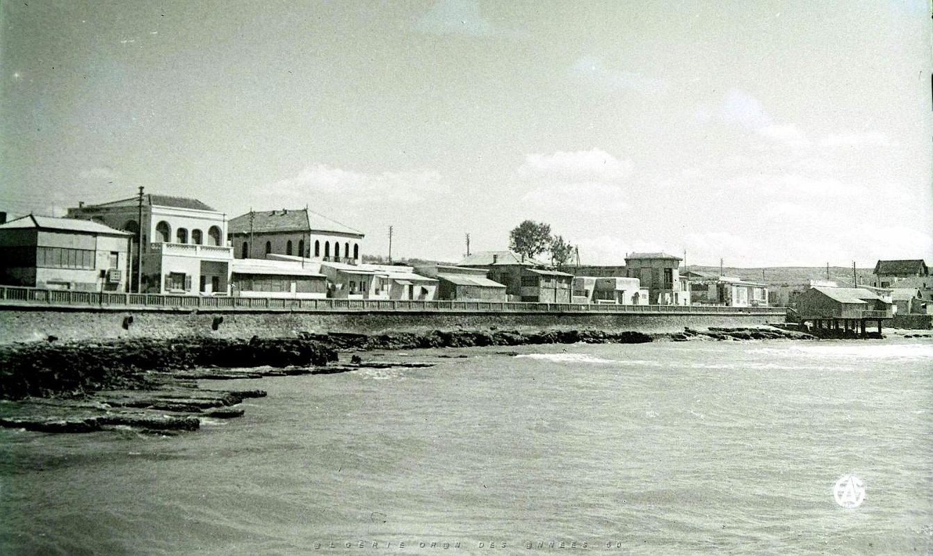 Mostaganem 513- Salamandre COLLECTION DES AMIS DE ND DE SANTA CRUZ.JPG